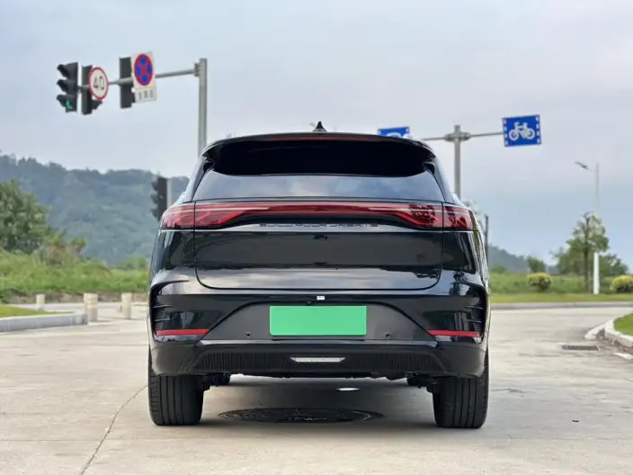 BYD Tang DM 2024 Model Honor Edition DM-i 112KM Zunrong Model – фото 6