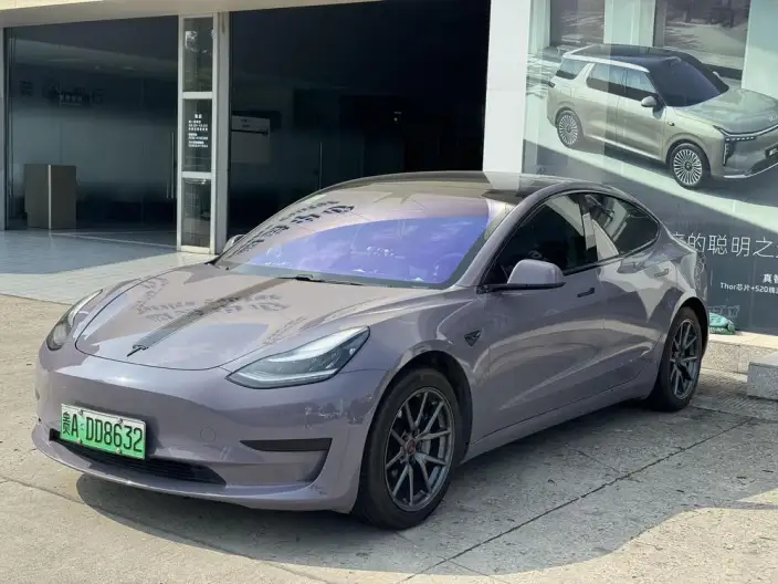 Model 3 2020 Model Standard Battery Life Rear Drive L Class Edition – фото 1