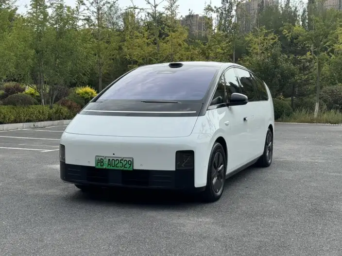 Li Auto MEGA 2025 Model Home Family Special Edition – фото 1