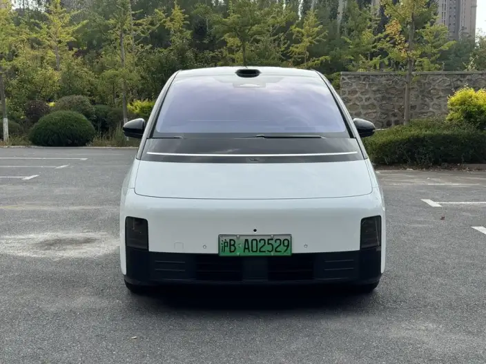 Li Auto MEGA 2025 Model Home Family Special Edition – фото 2