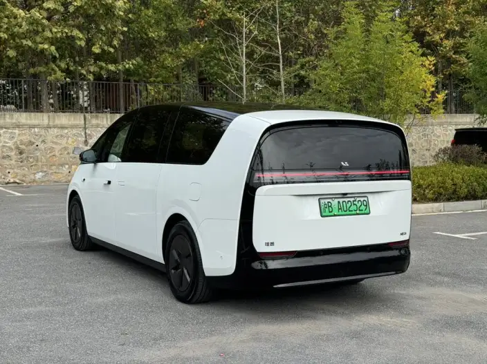 Li Auto MEGA 2025 Model Home Family Special Edition – фото 3
