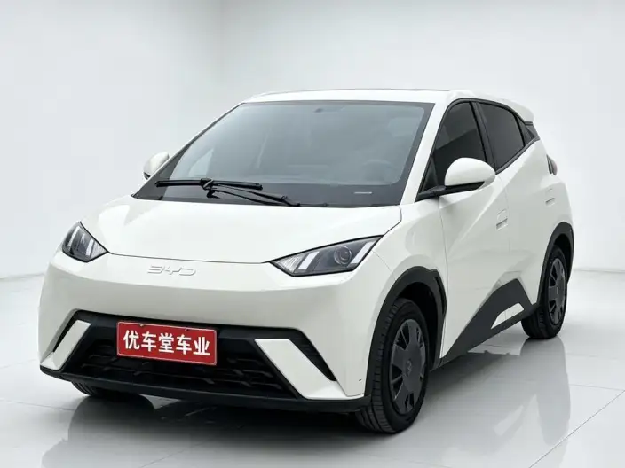 BYD Seagull 2024 Model Honor Edition 305KM Vitality Edition – фото 1