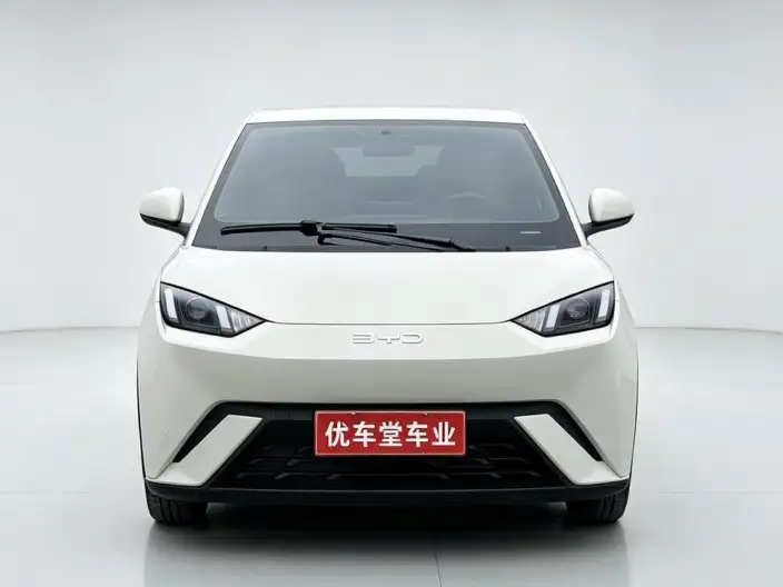 BYD Seagull 2024 Model Honor Edition 305KM Vitality Edition – фото 2
