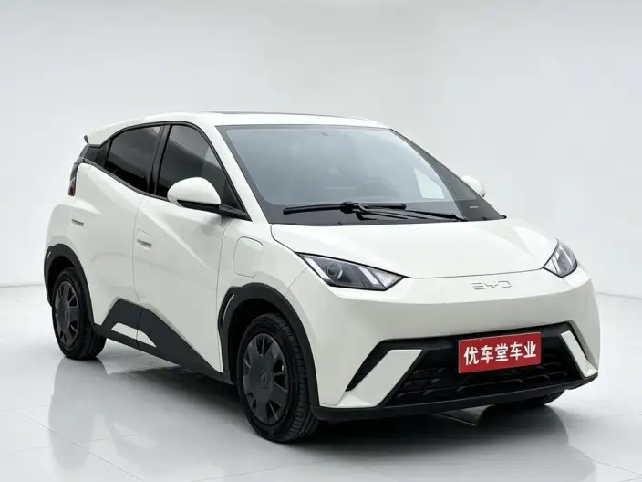 BYD Seagull 2024 Model Honor Edition 305KM Vitality Edition – фото 3