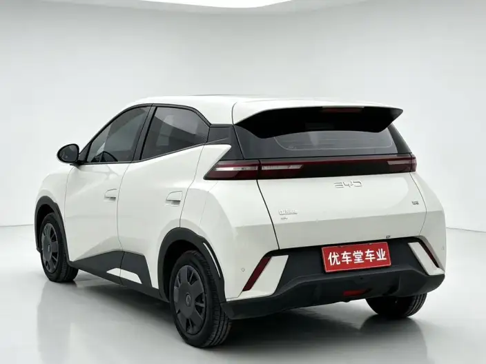 BYD Seagull 2024 Model Honor Edition 305KM Vitality Edition – фото 4