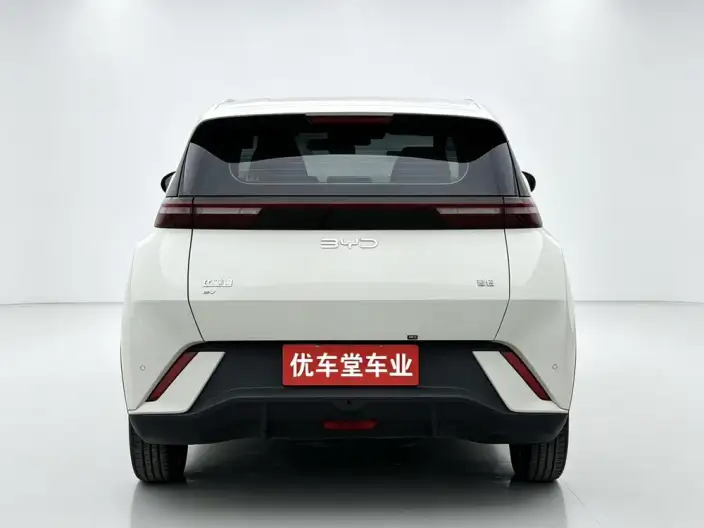 BYD Seagull 2024 Model Honor Edition 305KM Vitality Edition – фото 5