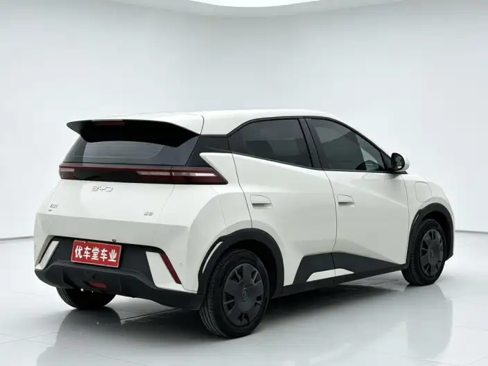BYD Seagull 2024 Model Honor Edition 305KM Vitality Edition – фото 6