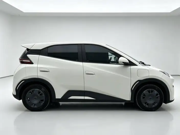 BYD Seagull 2024 Model Honor Edition 305KM Vitality Edition – фото 7