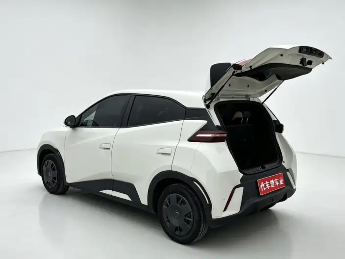BYD Seagull 2024 Model Honor Edition 305KM Vitality Edition – фото 8
