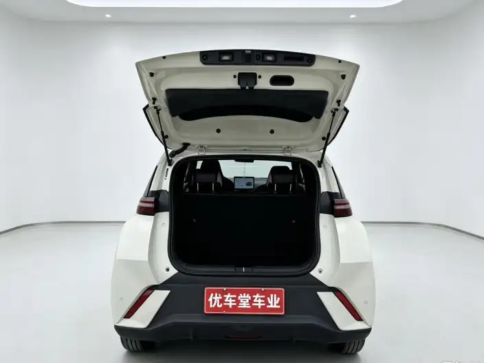 BYD Seagull 2024 Model Honor Edition 305KM Vitality Edition – фото 9