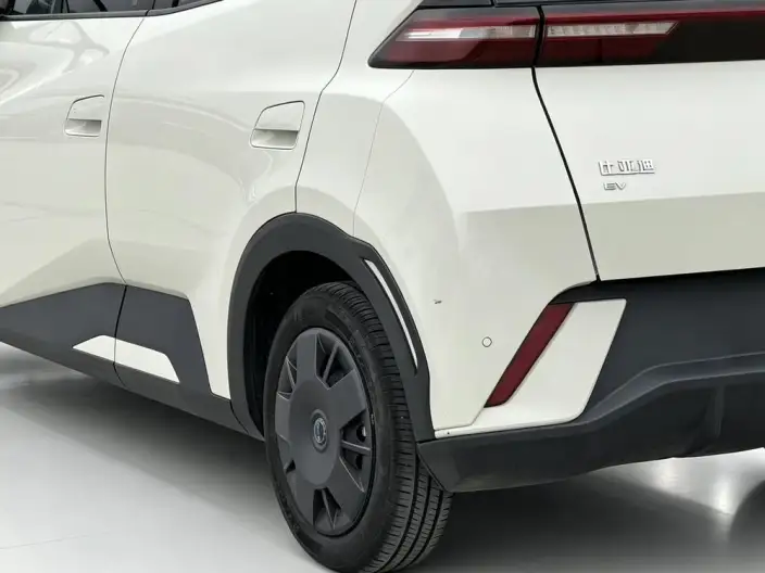 BYD Seagull 2024 Model Honor Edition 305KM Vitality Edition – фото 10