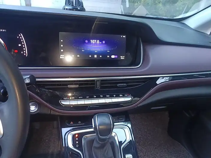 GAC Trumpchi M6 2023 Model PRO 270T WDCT Deluxe Edition – фото 8