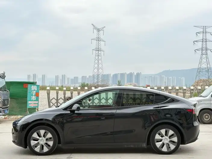 Model Y 2022 Model Facelift Rear-wheel drive version – фото 4