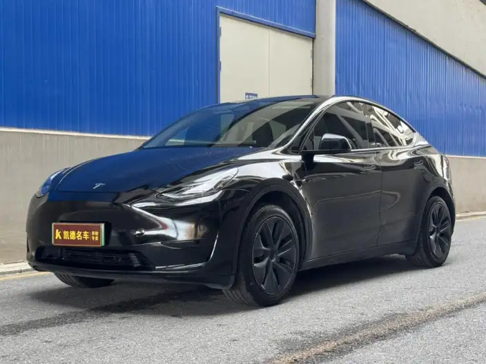 Model Y 2024 Model Rear-wheel drive version – фото 1