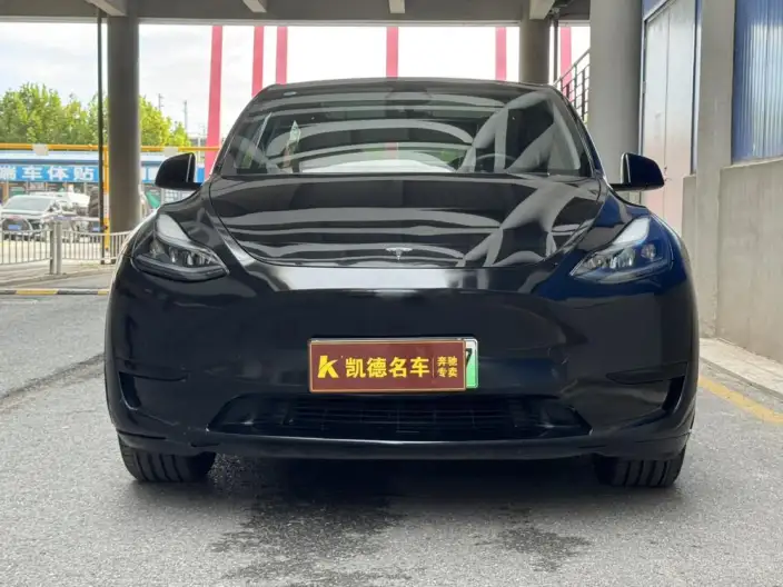 Model Y 2024 Model Rear-wheel drive version – фото 2