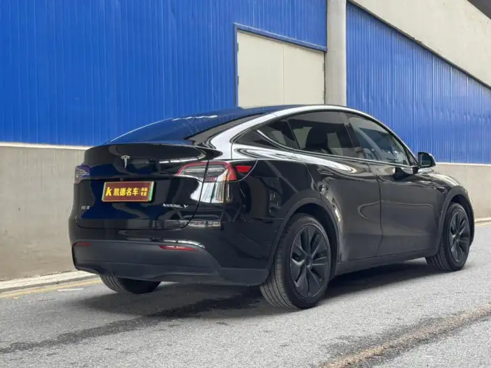 Model Y 2024 Model Rear-wheel drive version – фото 7