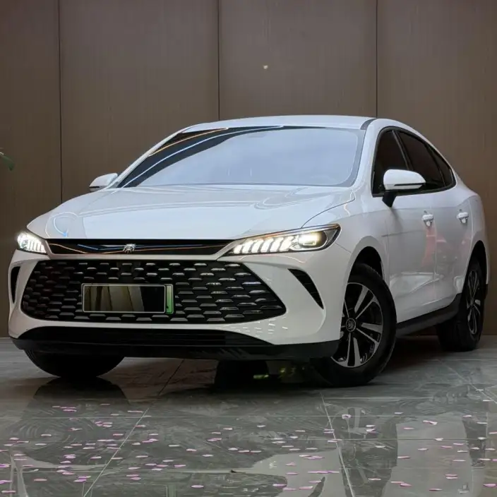 BYD Qin PLUS DM 2025 Model Smart Driving Edition DM-i 128KM Enterprising Model – фото 1