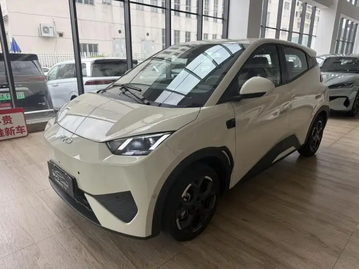 BYD Seagull 2025 Model Smart Driving Edition 305KM Free Edition – фото 1