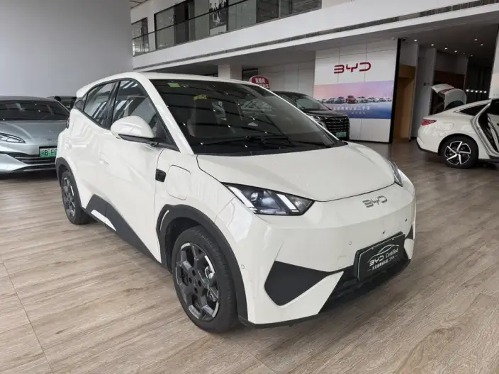 BYD Seagull 2025 Model Smart Driving Edition 305KM Free Edition – фото 3