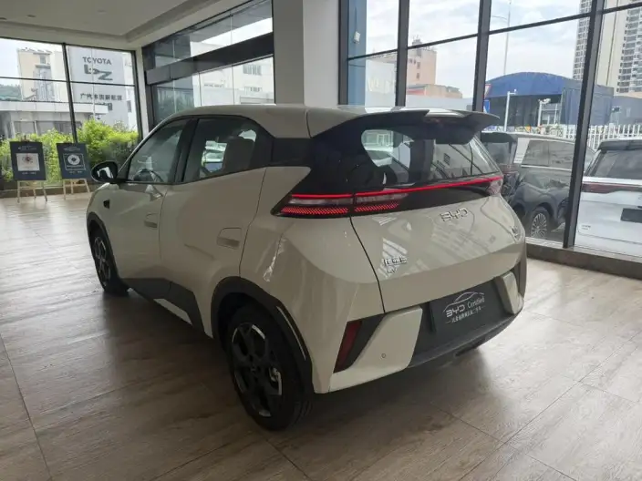 BYD Seagull 2025 Model Smart Driving Edition 305KM Free Edition – фото 4