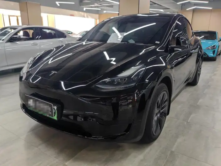 Model Y 2024 Model Rear-wheel drive version – фото 1