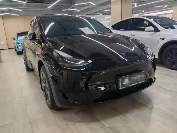 Model Y 2024 Model Rear-wheel drive version – фото 3