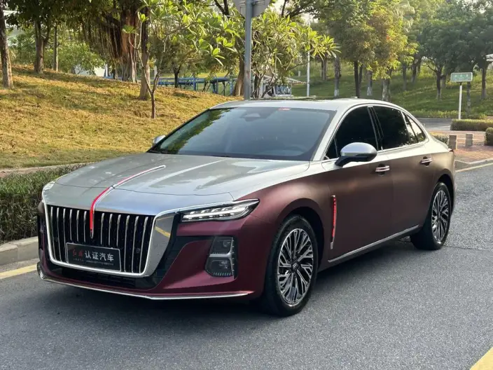 Hongqi H5 2024 Model 2.0T Automatic Flag Enjoy Edition – фото 1