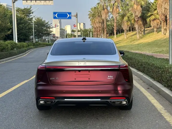 Hongqi H5 2024 Model 2.0T Automatic Flag Enjoy Edition – фото 5