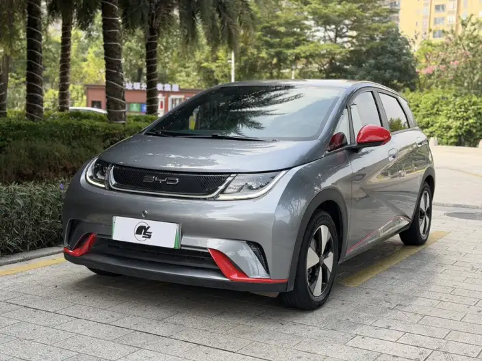 BYD Dolphin 2023 Model Free Edition – фото 1
