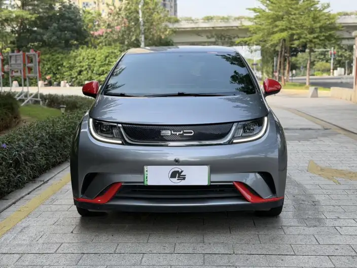 BYD Dolphin 2023 Model Free Edition – фото 2