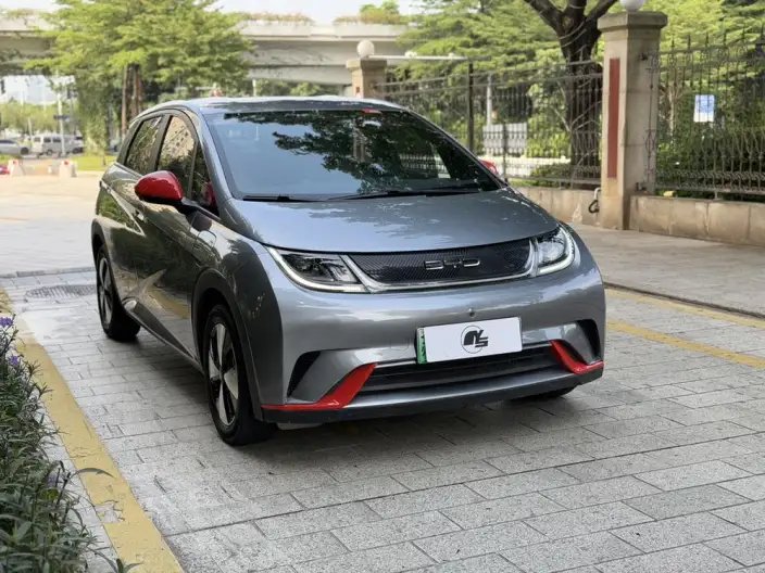 BYD Dolphin 2023 Model Free Edition – фото 3