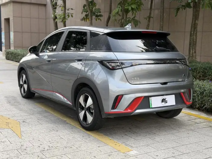 BYD Dolphin 2023 Model Free Edition – фото 4