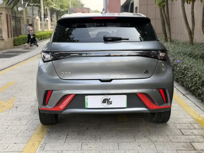 BYD Dolphin 2023 Model Free Edition – фото 5