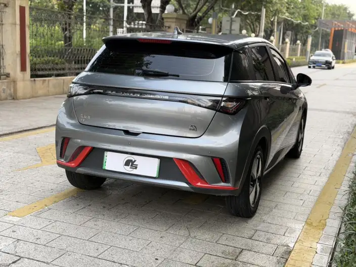 BYD Dolphin 2023 Model Free Edition – фото 6