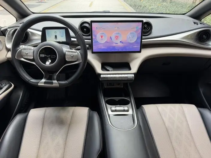 BYD Dolphin 2023 Model Free Edition – фото 7