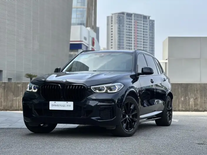 BMW X5 2022 Model xDrive 30Li Exclusive Model M Sports Set – фото 1