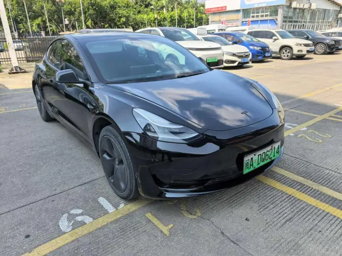Model 3 2020 Model Standard Battery Life Rear Drive L Class Edition – фото 1