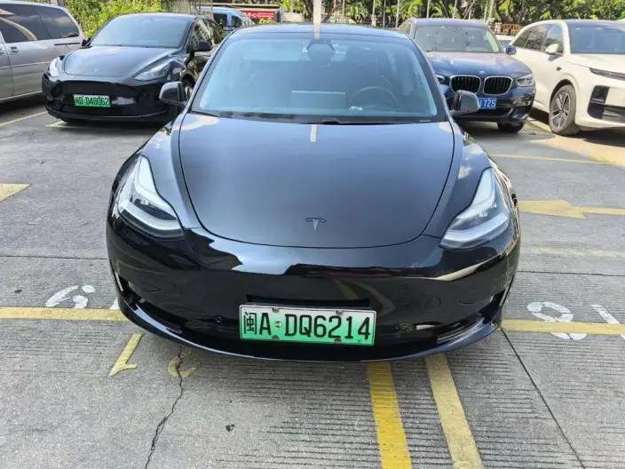 Model 3 2020 Model Standard Battery Life Rear Drive L Class Edition – фото 2