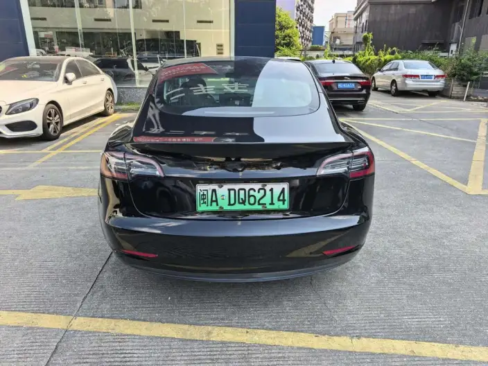 Model 3 2020 Model Standard Battery Life Rear Drive L Class Edition – фото 4