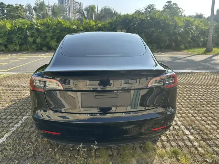 Model 3 2021 Model Standard Battery Life Rear Drive L Class Edition – фото 5