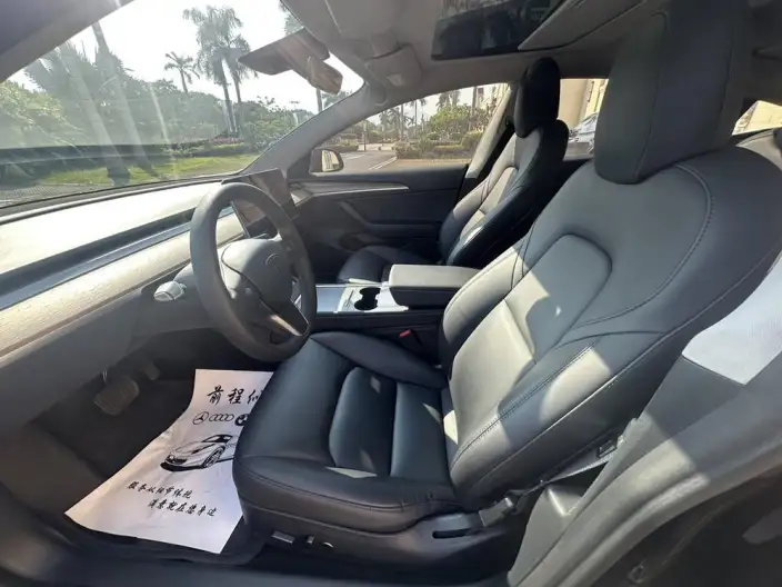Model 3 2021 Model Standard Battery Life Rear Drive L Class Edition – фото 8