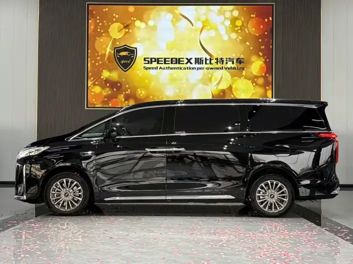 Wey Gaoshan P HEV 2025 Model 4WD Wey Gaoshan 8 – фото 2