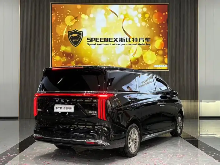 Wey Gaoshan P HEV 2025 Model 4WD Wey Gaoshan 8 – фото 4