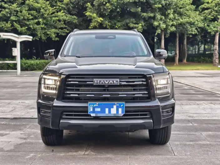 Haval H5 2025 Model 2.0T Diesel Pilot Automatic 4WD – фото 2