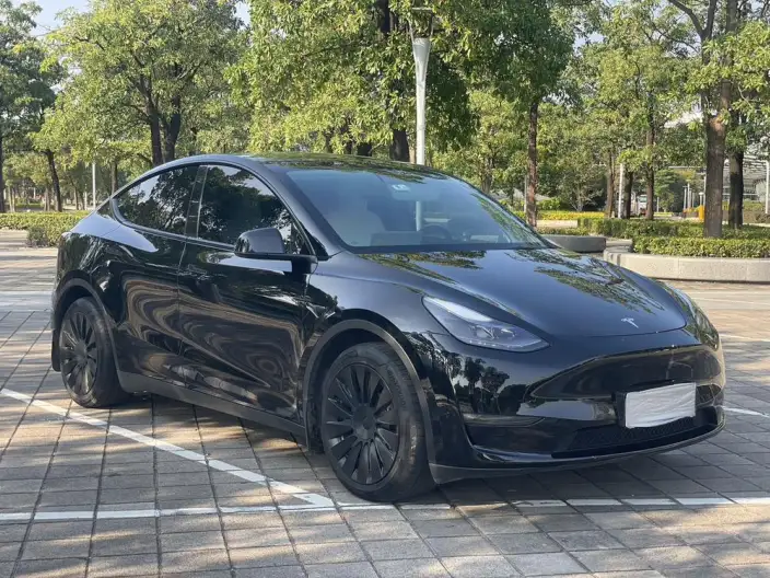 Model Y 2023 Model Rear-wheel drive version – фото 2
