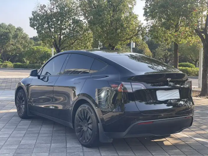 Model Y 2023 Model Rear-wheel drive version – фото 3