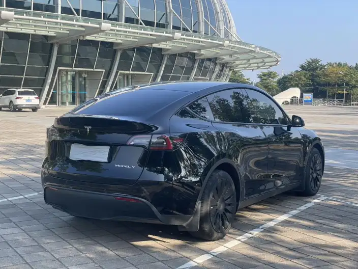 Model Y 2023 Model Rear-wheel drive version – фото 4
