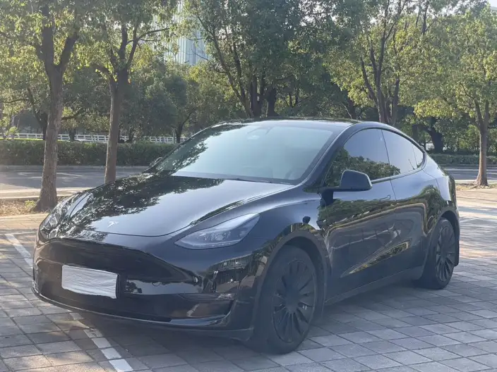 Model Y 2023 Model Rear-wheel drive version – фото 10