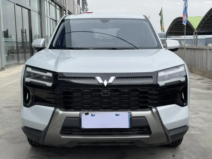 Xingguang 560 2026 Model 1.5T 6MT Comfort Model – фото 2