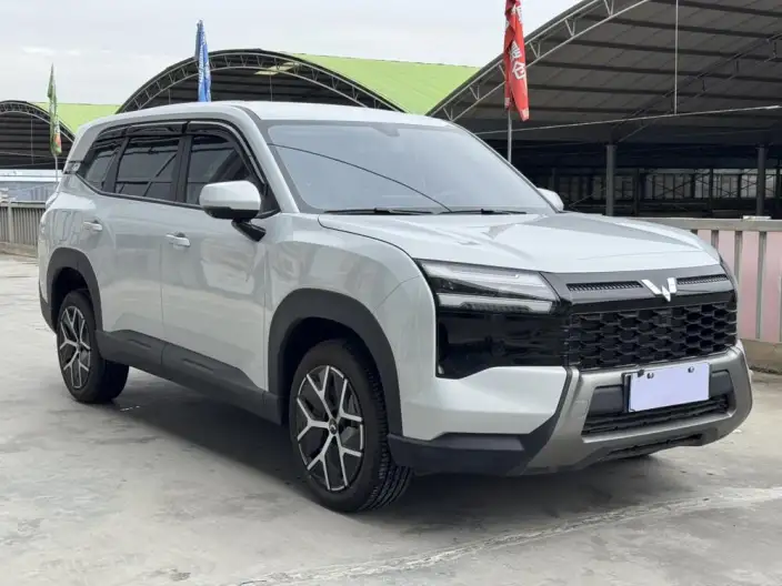 Xingguang 560 2026 Model 1.5T 6MT Comfort Model – фото 3